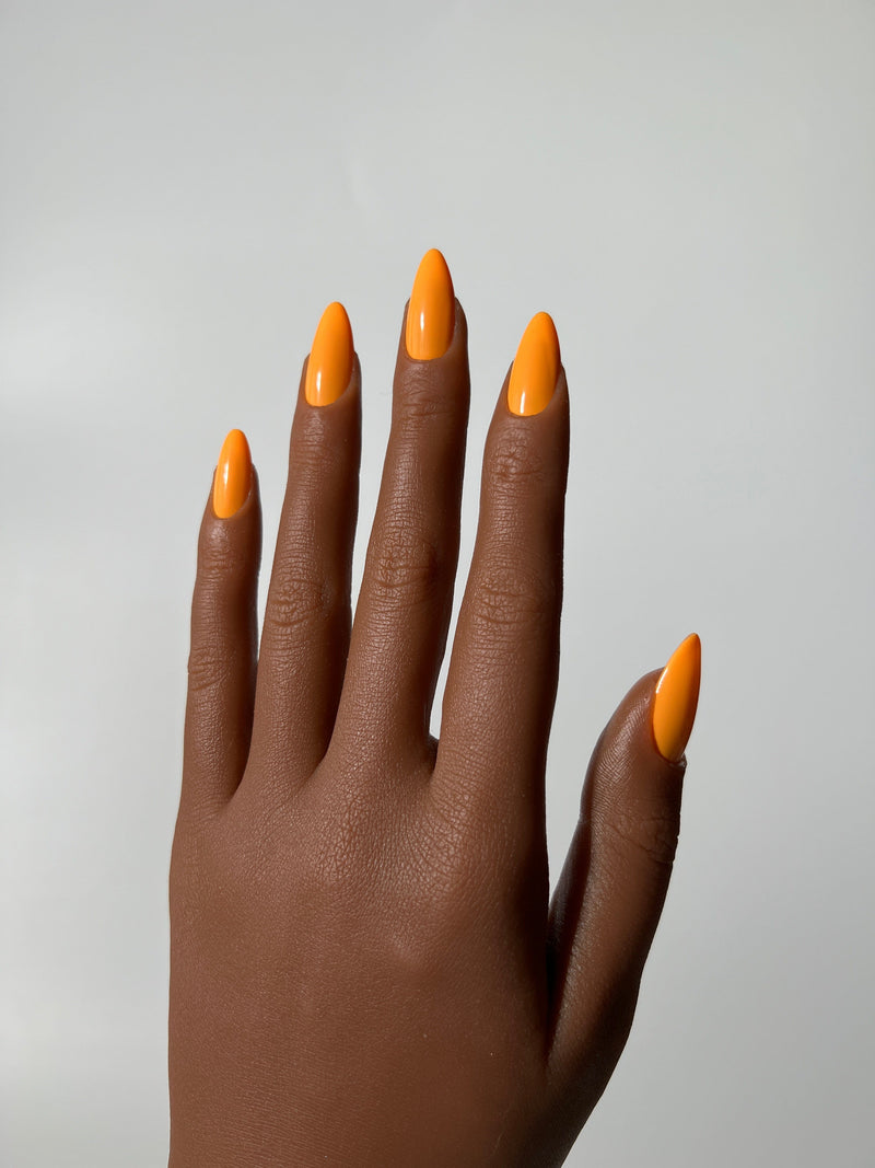 Orange Clara Carrot
